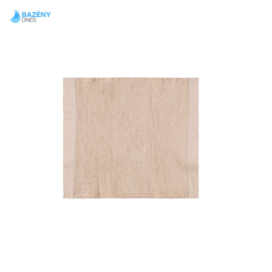 RENTO Podložka sedáku 50x60 cm - bežová