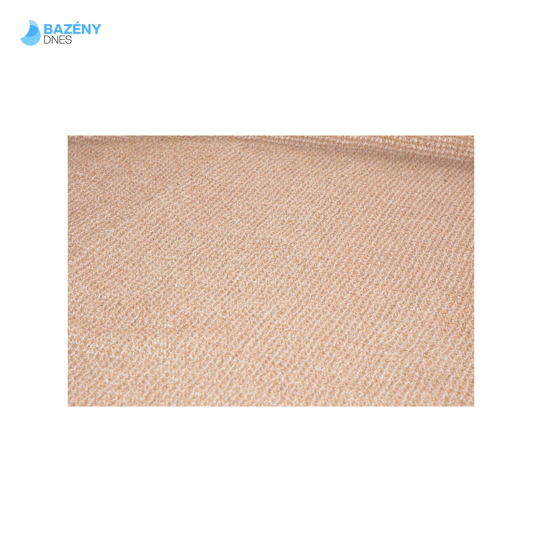 RENTO Podložka sedáku 50x60 cm - bežová 3