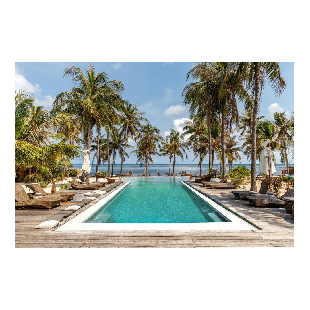 ALKORPLAN VOGUE - Tropical; 1, 65m šíře, 2, 0mm, 25m role 6